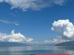 -野菌皇海景野生菌火锅(滨海大道店)