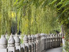 -文瀛公园