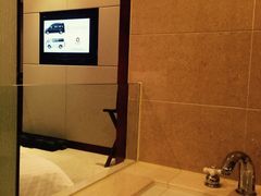 -南桥绿地铂骊酒店