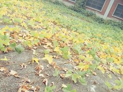 -林屋洞-游客服务中心