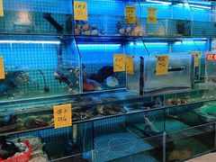 -聪辉同安老美食饭店(大元路店)