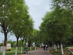 -青藏高原野生动物园