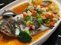 鲜花椒蒸笋壳鱼-富淳饭店(陆家嘴保利广场店)