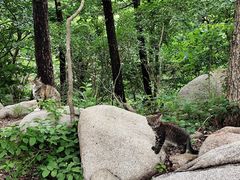 -崂山巨峰游览区