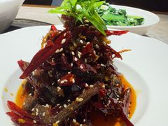 -新渝城·川菜·火锅(区庄店)