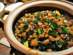 海肠捞饭-KŌNG胶东小馆·酒馆(华熙店)