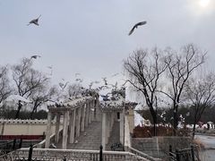 -北京世界公园