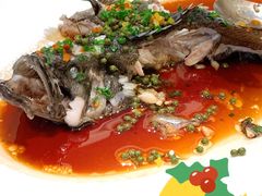 鲜花椒海青斑-香蜜轩·粤菜·宴会(世界之窗店)