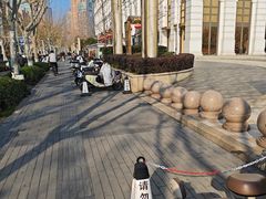 -湖锦酒楼·旗舰店(三阳总店)