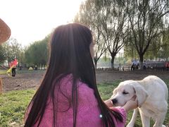 -天津武清北运河郊野公园房车露营地
