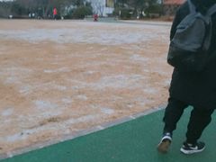 -汉拿树木园