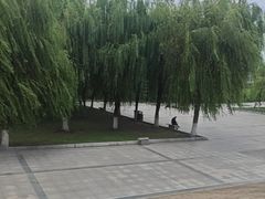 -武汉两江游览·夜游长江(汉口粤汉码头)