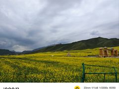 -扁都口生态休闲旅游区