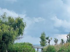 -捞渔河湿地公园
