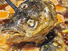 -肖肖酸萝卜鱼火锅(总店)