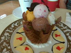 酸奶冰淇淋绽放火锅-哈根达斯(深圳海岸城店)