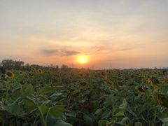 -映月湖中央公园