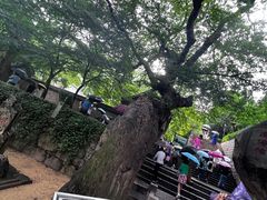 -青岛崂山太清宫