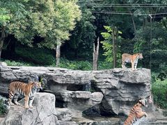 -宁波野生动物园