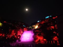 -印象普陀