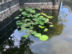 -厦门园林博览苑