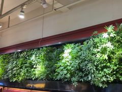 -巴奴毛肚火锅(广益哥伦布店)
