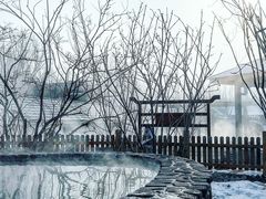 -陆地游轮吉林神农温泉