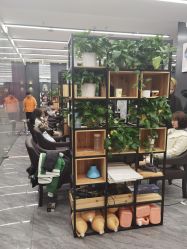 -藤野造型