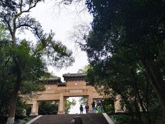 -灵谷景区