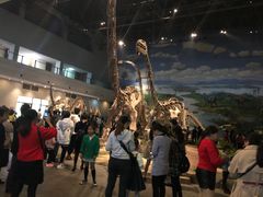 -自贡恐龙博物馆