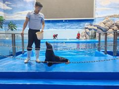 -福州罗源湾海洋世界旅游区