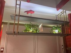 -大鸭梨烤鸭·北京菜(南小街/南苑店)