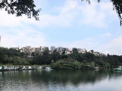 -重庆彩云湖湿地公园