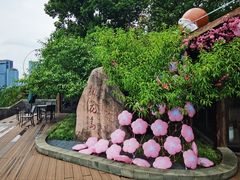 -金鸡湖桃花岛