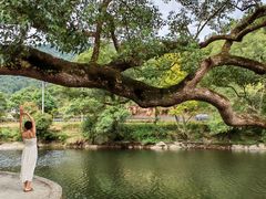 -上坦村