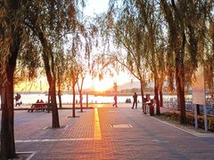 -野鸭湖国家湿地公园