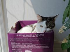 -中农大我爱我爱动物医院·核磁CT·猫病·24小时夜诊中心(石佛营店)