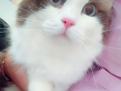 -宠颐生宠物医院·骨外科·犬猫全科诊疗中心(池州店)