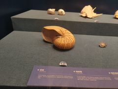 -上海中国航海博物馆