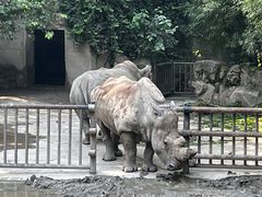 -上海野生动物园