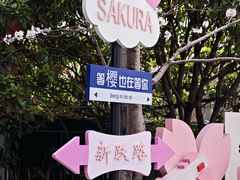 -高东镇樱花园