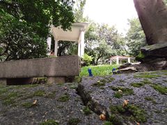 -蟹山公园