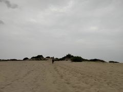 -库伦旗银沙湾旅游景区