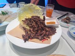 -燕郊烧鸽子(酷车小镇店)