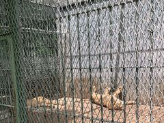 -西安秦岭野生动物园