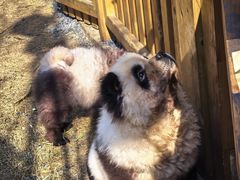 -茅山东方盐湖城景区