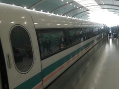 -龙阳路磁悬浮列车总站-停车场