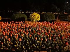 -长春公园(普阳街道)