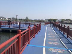 -鹅湖玫瑰文化园