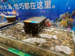 -亚马逊海鲜自助(梅溪湖步步高店)